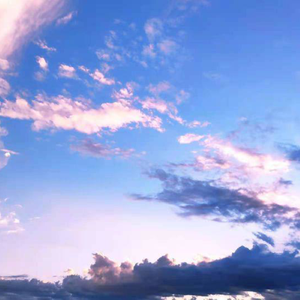 性变态:虐阴  现在观看
